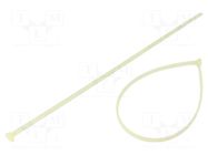 Cable tie; locked by fiber glass pin; L: 360mm; W: 6mm; natural HELLERMANNTYTON