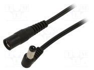 Cable; 2x0.5mm2; DC 5,5/2,1 plug,DC 5,5/2,1 socket; angled; 2m WEST POL