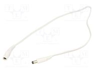 Cable; 2x0.5mm2; DC 5,5/2,1 plug,DC 5,5/2,1 socket; straight WEST POL