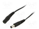 Cable; 2x0.5mm2; DC 5,5/2,1 plug,DC 5,5/2,1 socket; straight WEST POL