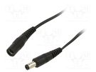 Cable; 2x0.5mm2; DC 5,5/2,1 plug,DC 5,5/2,5 plug; straight; 0.5m WEST POL