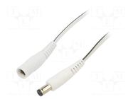 Cable; 2x0.5mm2; DC 5,5/2,1 plug,DC 5,5/2,5 plug; straight; 1.5m WEST POL