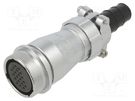 Plug; WF28; female; PIN: 20; IP65; 11.5÷13.6mm; 5A; soldering; 400V WEIPU