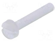 Screw; M2x12; 0.4; Head: cheese head; slotted; 0.6mm; polyamide DREMEC