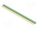 Pin header; pin strips; AMPMODU MOD II; male; PIN: 36; straight TE Connectivity