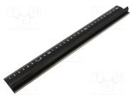 Ruler; L: 300mm; black TAJIMA