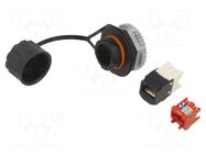 Connector: RJ45; socket; PIN: 8; Cat: 5e; 8p8c; IP67 PANDUIT