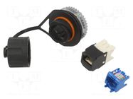 Connector: RJ45; socket; PIN: 8; Cat: 6a; 8p8c; IP67 PANDUIT