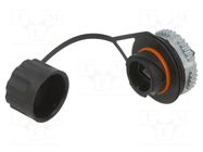 Coupler; Cat: 6; with protective cap; 8p8c PANDUIT