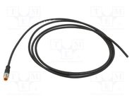 Connection lead; M8; PIN: 3; straight; 2m; plug; 50VAC; 4A; 0800; PUR LUTRONIC