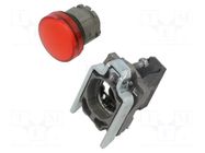 Control lamp; 22mm; Harmony XB4; -25÷70°C; Illumin: filament lamp SCHNEIDER ELECTRIC