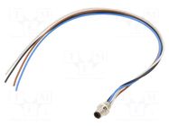 Connector: M5; socket; 707; male; PIN: 4; 60V; unshielded; 1A; IP67 BINDER