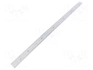 Ruler; L: 0.6m; Width: 30mm; Class: I TAJIMA