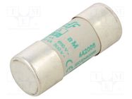 Fuse: fuse; aM; 6A; 690VAC; ceramic,cylindrical,industrial DF ELECTRIC