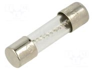 Fuse: fuse; 10A; 250VAC; time-lag; cylindrical,glass; 5x20mm; 5ET BEL FUSE
