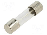 Fuse: fuse; 100mA; 250VAC; time-lag; cylindrical,glass; 5x20mm; 5ST BEL FUSE