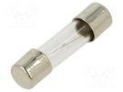 Fuse: fuse; time-lag; 1A; 250VAC; cylindrical,glass; 5x20mm; brass BEL FUSE
