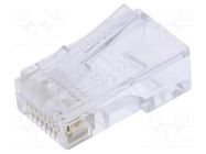 Connector: RJ45; plug; PIN: 8; Cat: 5e; 8p8c; for cable; IDC,crimped BM GROUP