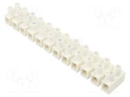 Connector: terminal block; 500V; screw terminal; Contacts: brass BM GROUP