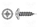 Screw; with flange; 4.2x16; Head: button; Pozidriv; PZ2; steel; zinc BOSSARD