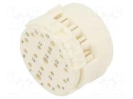 Connector: M23; contact insert; PIN: 19(3+16); male; crimped; 100V HARTING