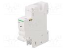 Voltage relase; for DIN rail mounting; 230VAC SCHNEIDER ELECTRIC