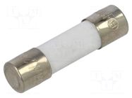 Fuse: fuse; 16A; 250VAC; quick blow; ceramic; 5x20mm; FCD; brass OPTIFUSE