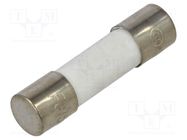 Fuse: fuse; quick blow; 315mA; 250VAC; ceramic; 5x20mm; brass; FCD OPTIFUSE