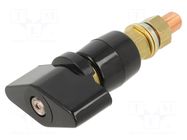 Laboratory clamp; black; 1kVDC; 400A; polycarbonate SCHÜTZINGER