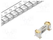 Fuse: fuse; time-lag; 1A; 250VAC; 125VDC; SMD; ceramic; 4.2x11.1mm SCHURTER