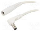 Cable; 1x1mm2; DC 5,5/2,1 plug,DC 5,5/2,1 socket; angled; white WEST POL