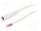 Cable; 1x1mm2; wires,DC 5,5/2,1 socket; straight; white; 0.5m WEST POL