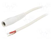 Cable; 1x1mm2; wires,DC 5,5/2,1 socket; straight; white; 2m WEST POL