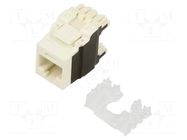 Connector: RJ45; socket; PIN: 8; Cat: 6a; 8p8c; 22AWG÷26AWG; white PANDUIT
