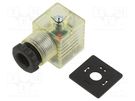 Plug for coil; PIN: 3; natural (transparent); 24V; A: 27mm; B: 28mm PNEUMAT