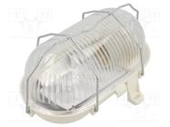 Lamp: lighting fixture; OVAL100; polycarbonate; E27; IP44; oval PAWBOL