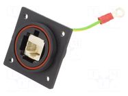 Transition: coupler; PIN: 8; 1.5A; 42VDC; 30VAC; with earthing; IP68 BULGIN