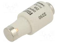 Fuse: fuse; 25A; 500VAC; 500VDC; gG; industrial; DII MERSEN