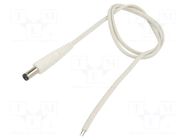 Cable; 2x0.35mm2; wires,DC 5,5/2,5 plug; straight; white; 0.5m WEST POL