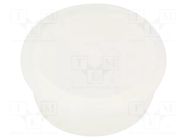 Protection cap; push-in LAPP