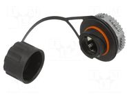 Coupler; Cat: 6a; shielded,with protective cap; 8p8c PANDUIT