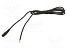 Cable; 2x0.5mm2; wires,DC 5,5/2,1 socket; straight; black; 2m WEST POL