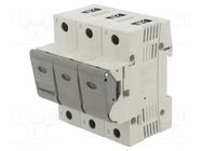 Fuse disconnector; D02; for DIN rail mounting; 63A; 440V; Poles: 3 MERSEN