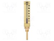 Module: thermometer; temperature; Temp: -20÷160°C; liquids,gases SIKA