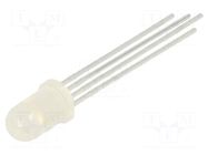 LED; red/green/blue; 5mm; 150÷300mcd,500÷1000mcd,600÷1300mcd KINGBRIGHT ELECTRONIC
