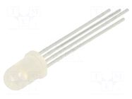 LED; red/green/blue; 5mm; 150÷300mcd,500÷1000mcd,600÷1300mcd KINGBRIGHT ELECTRONIC