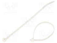 Cable tie; L: 140mm; W: 3.6mm; polyamide ABB