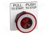 Switch: push-button; 30mm; Stabl.pos: 2; red/white; none; IP66 SCHNEIDER ELECTRIC