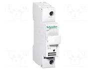 Fuse acces: fuse disconnector; Poles: 1; 500VAC; 25A; 10x38mm SCHNEIDER ELECTRIC