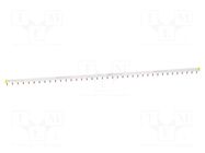Busbar; Poles: 1; Urated: 415V; 100A; No.of mod: 57; Uinsul: 500V SCHNEIDER ELECTRIC